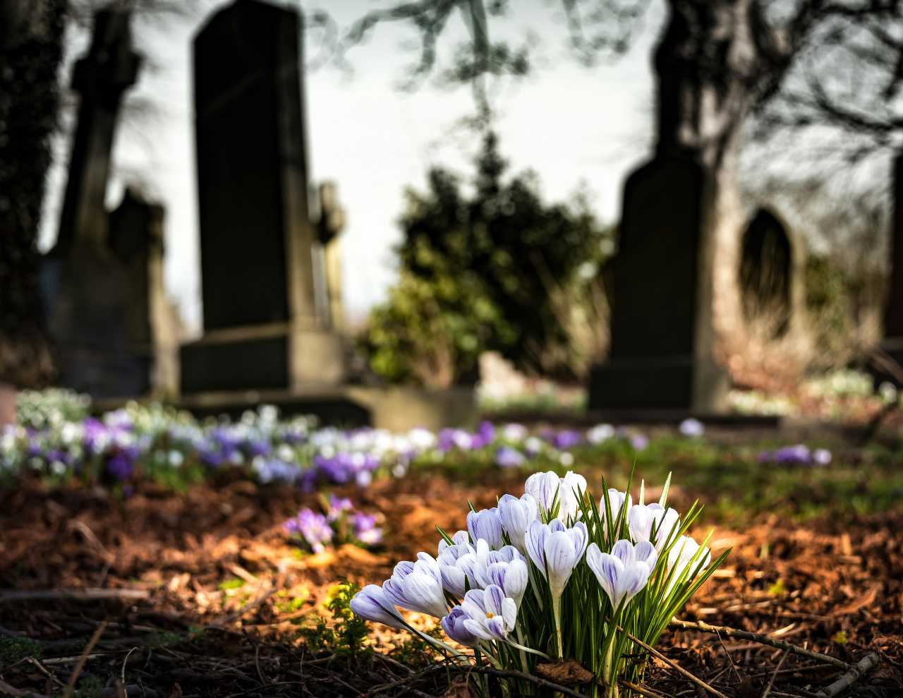 11select right Texas probate court